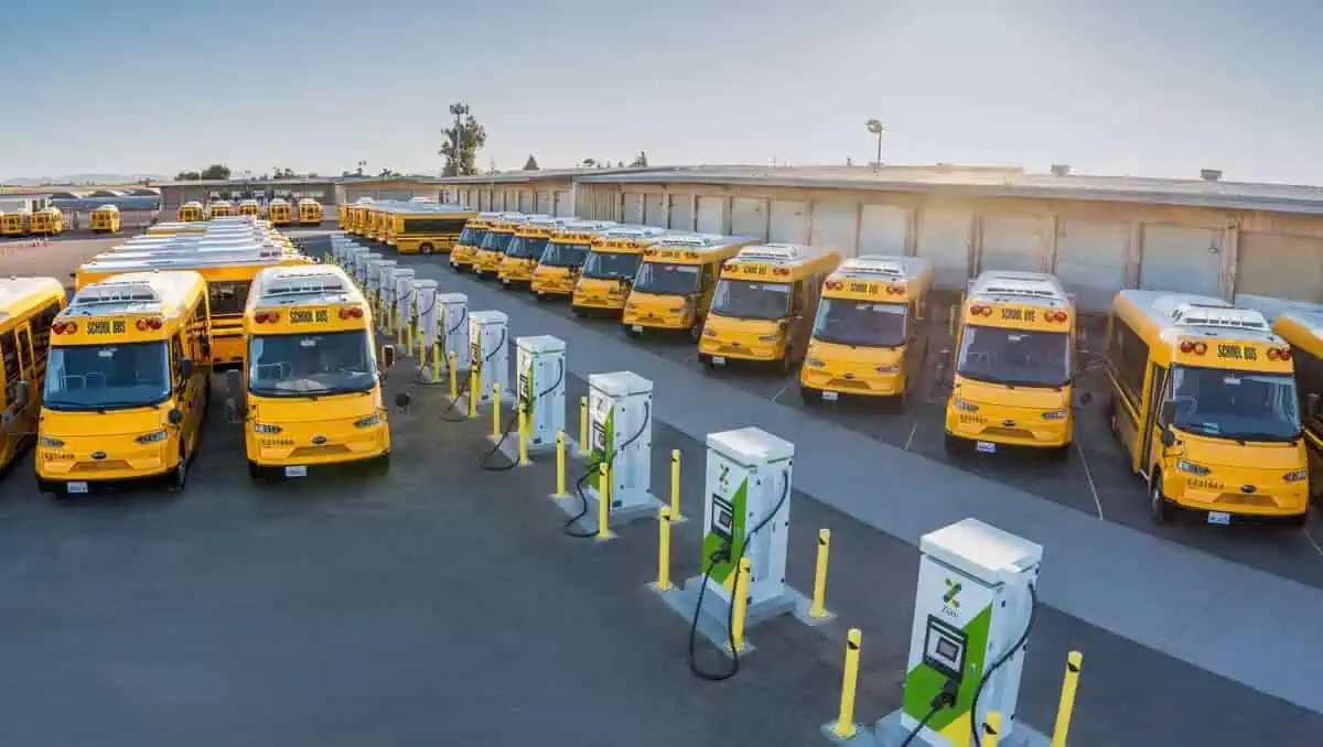 A row of yellow school buses parked neatly in a parking lot under clear blue skies.